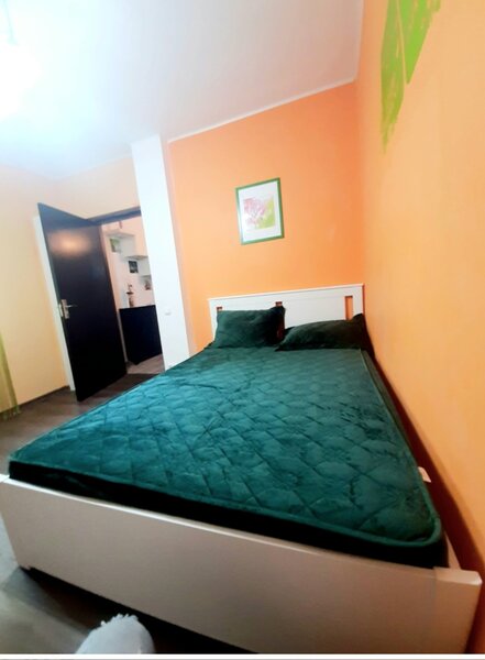 Pantelimon Magazin Marius,  Lidl